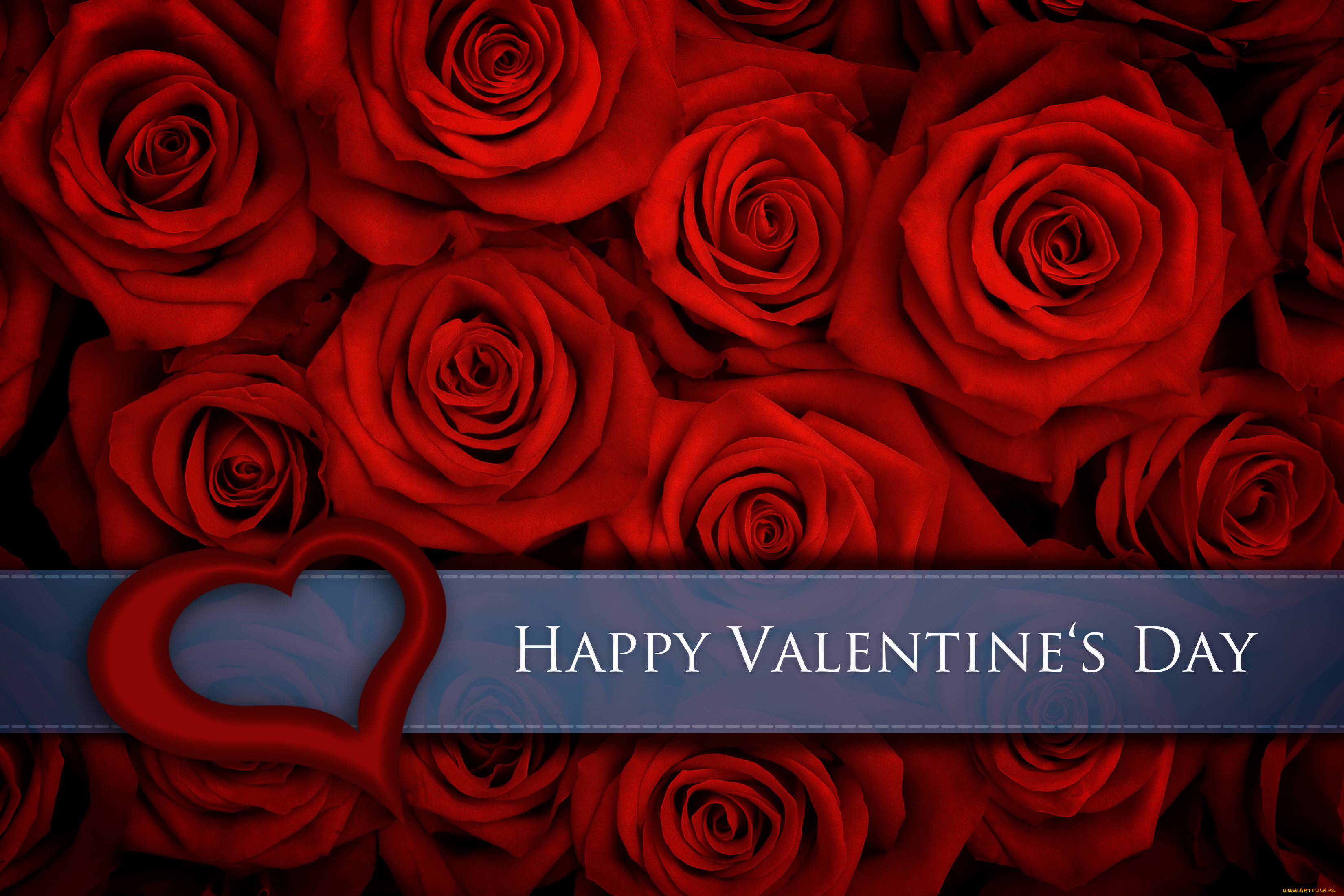 ,   ,  ,  , , , , valentines, day